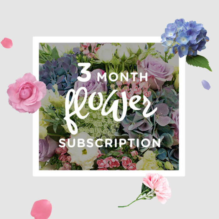 The photograph presents a serene, pastel-toned bouquet, the kind included in a three-month flower subscription, styled as if it has just been placed on a windowsill in Cubitt Town with views towards the Thames. The composition begins with lush blue hydrangeas, their rounded heads of closely packed petals forming a generous, cushiony centre that draws the gaze. Wrapped thoughtfully around this core, roses in shades of blush, soft pink, and pale lilac open into delicate spirals, each bloom carrying its own gradient of colour from deeper centre to paler outer edges. Rising between the larger flowers, lisianthus stems add vertical interest; their buds are smooth and elongated, while the open blossoms show off frilled edges that introduce a fine, almost feather-light texture. Wisps of airy filler flowers, reminiscent of Queen Anne's lace, and sprigs of fresh greenery weave in and out, softening the transitions and creating a natural, garden-picked feel, like blooms gathered after a stroll along the riverside paths off Manchester Road. The greens range from bright new leaves to deeper, more established tones, giving the design a layered sense of depth. The lighting in the image is gentle and diffuse, with a hint of direction that highlights the contours of petals and leaves, lending subtle shadows and a three-dimensional quality. The overall palette-cool blues, tender mauves, warm blushes, and restful greens-suggests calm, care, and the comfort of familiar surroundings. Nothing in the photograph feels hurried; instead, it hints at the quiet rhythm of a subscription, where each month another bouquet appears at the door, ready to bring softness, fragrance, and a feeling of understated luxury to daily life in Cubitt Town.