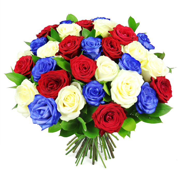 A dramatic hand-tied bouquet featuring only roses in red, white, and royal blue commands attention against a stark white background, evoking the sense of a special delivery arriving from a local Cubitt Town florist. The bouquet is generous and perfectly rounded, with around thirty to forty rose heads forming a dense, plush dome that fills most of the frame. Deep crimson red roses, their velvety petals layered in tight spirals, are intermingled with creamy white roses whose softer, rounded petals create gentle highlights. Threaded throughout are striking royal blue roses in a vivid, saturated shade that introduces a bold, contemporary twist to the classic colour combination. The blooms are at slightly varying stages, some still cupped and shy, others more open, revealing intricate heart-shaped centres. Nestled between the roses, discreet touches of dark, glossy green foliage emerge, adding dimension and a natural counterpoint to the vibrant palette. The stems below are gathered firmly and trimmed with precision, forming a neat bundle of green and pale brown that suggests the bouquet has been freshly tied and is ready to slip into a glass vase in a Docklands apartment with views toward Canary Wharf. The lighting is even and bright, emphasising the purity of the white petals, the depth of the reds, and the almost electric quality of the blues, while casting only the softest shadows. The overall mood is proudly patriotic yet refined, suitable for national celebrations, remembrance ceremonies, or as a thoughtful tribute to someone whose story is intertwined with the riverside history and modern vibrancy of Cubitt Town. It feels like an arrangement created with a careful, experienced hand at Cubitt Town Flowers, meant to carry both emotion and elegance.